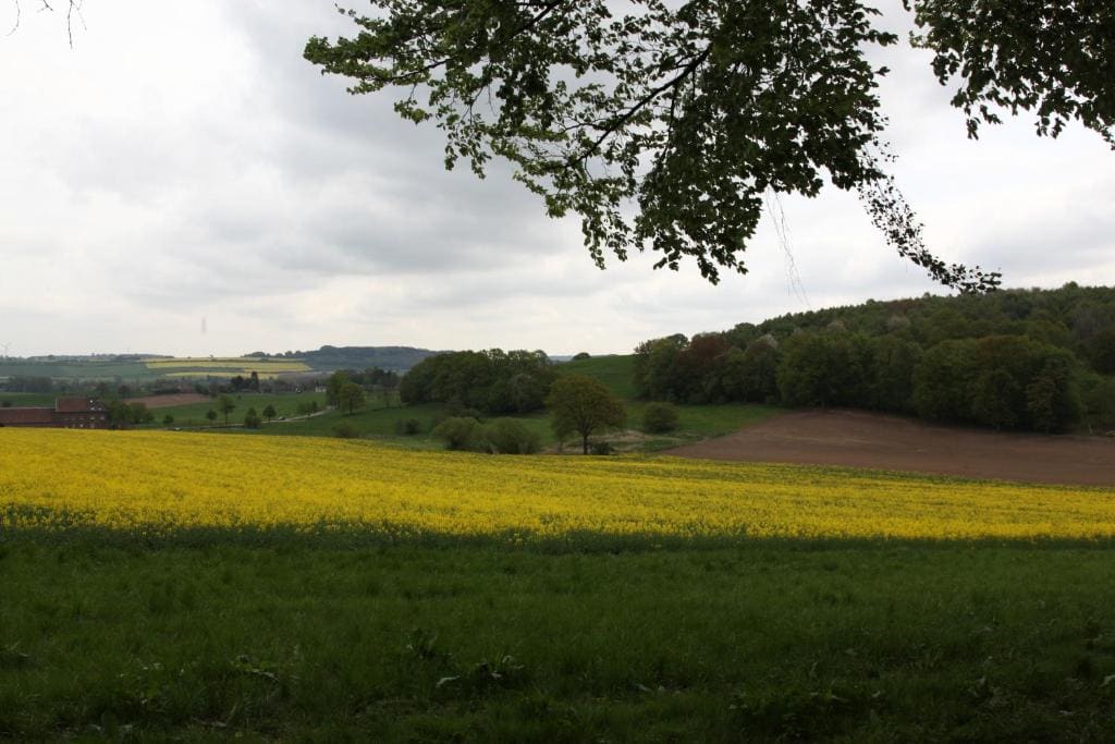 B&B Einrade - View 4