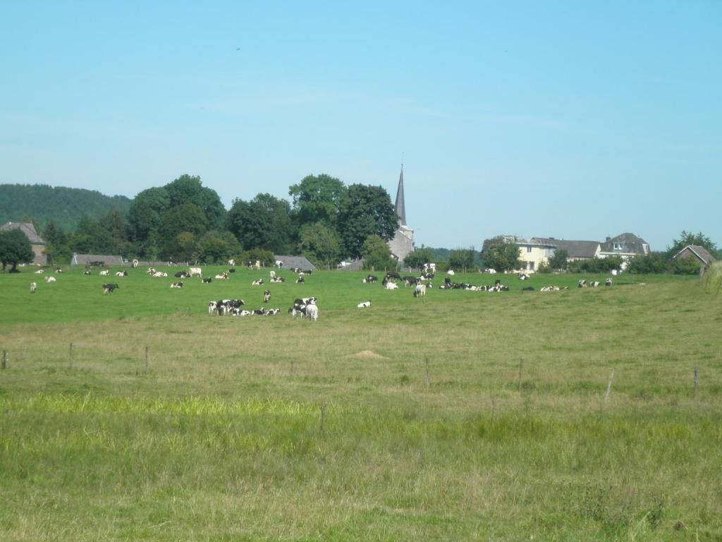 B&B Einrade - Main view