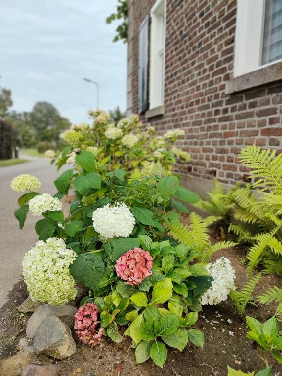 B&B In de Roos - View 7