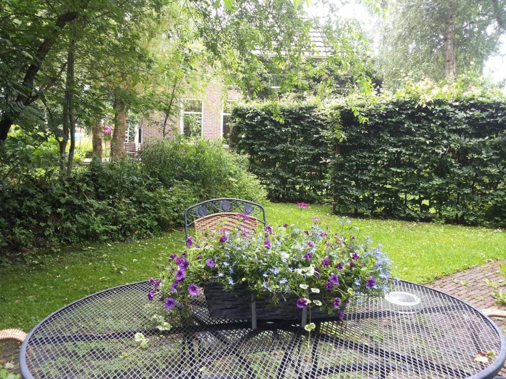 Bed & Breakfast Onder Dak - View 6