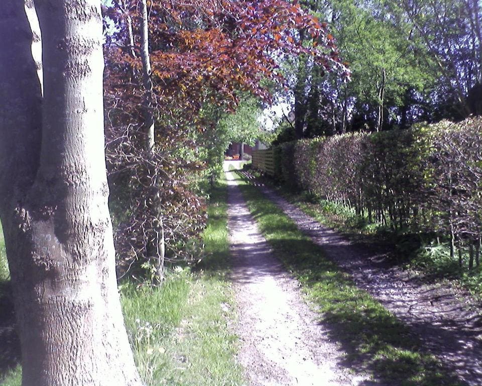 Bed & Breakfast Onder Dak - View 2