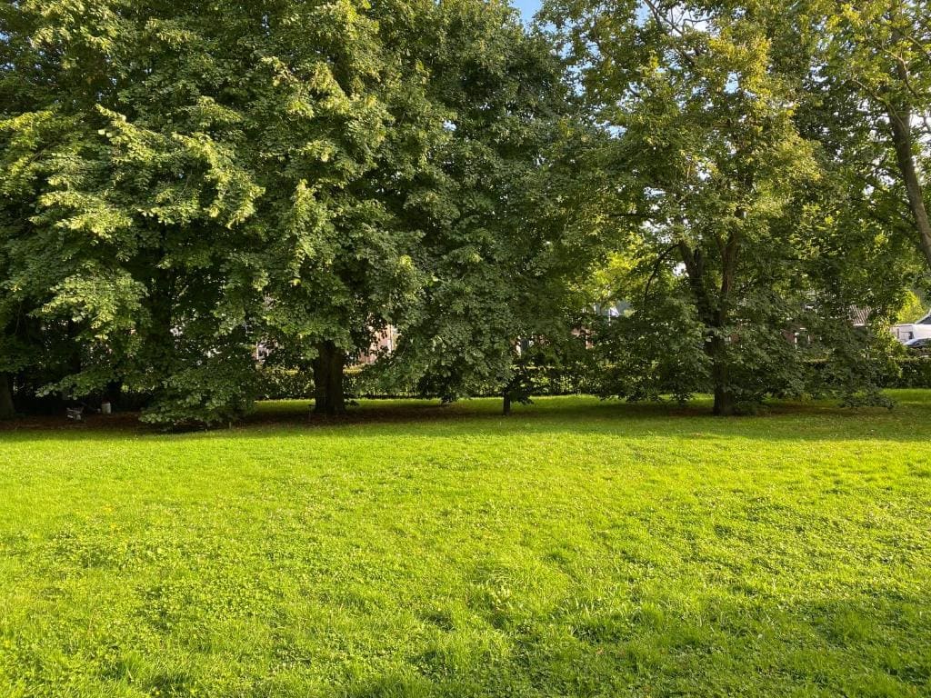 B&B Boerderij De Vaete - Zuid-Beveland - View 3