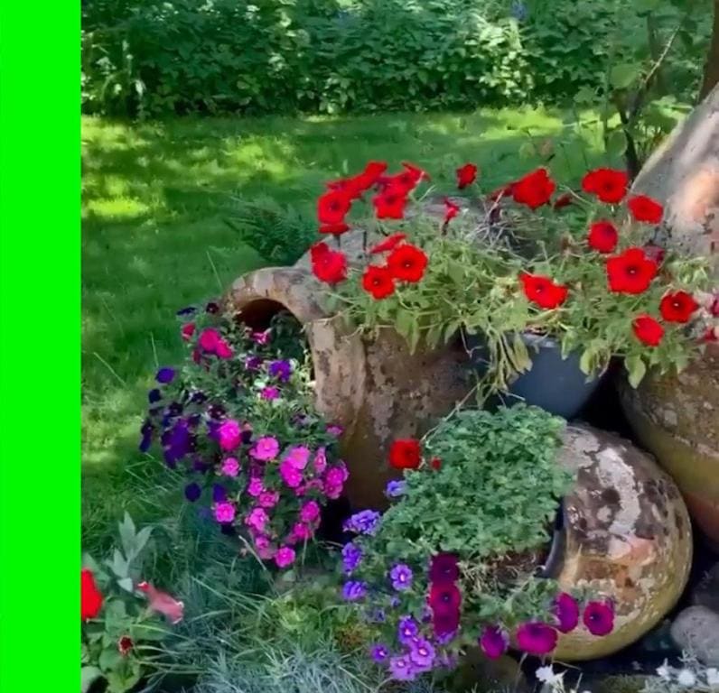 Dinkel Verblijf - View 3