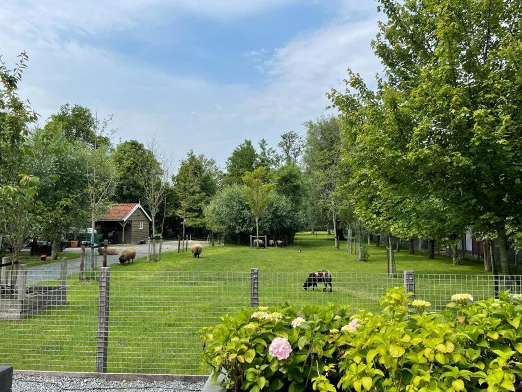 Flora’s B&B - View 3