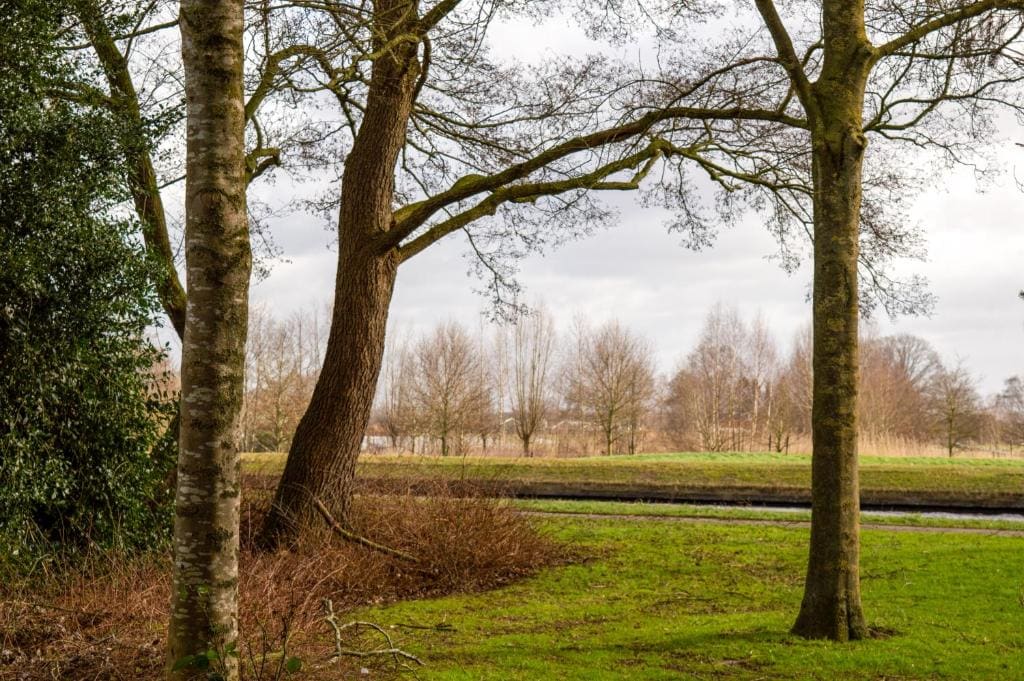 B&B overnachting de Margriet - View 5