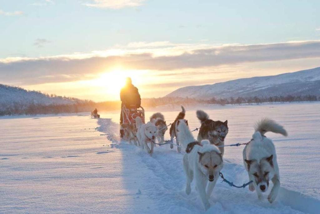 Guesthouse / Huskyfarm Innset - Foto 7
