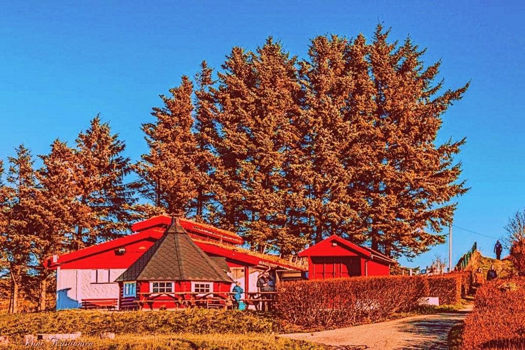 Haraldshaugen Camping - Main view