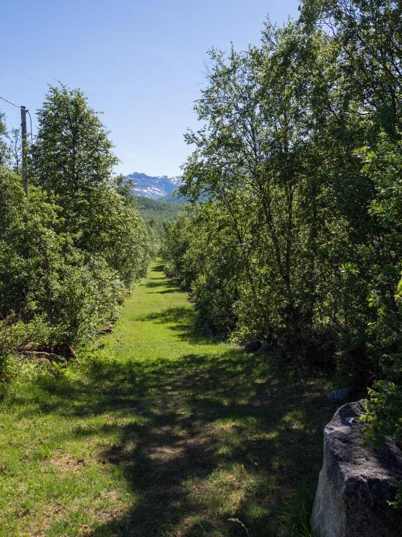 Maristuen Fjellferie - 写真 4
