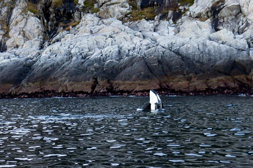 Vannøy Sport og Havfiske - View 3