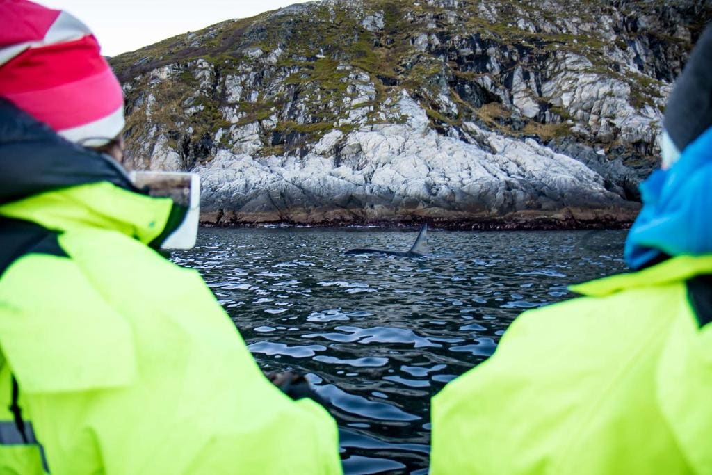 Vannøy Sport og Havfiske - View 2