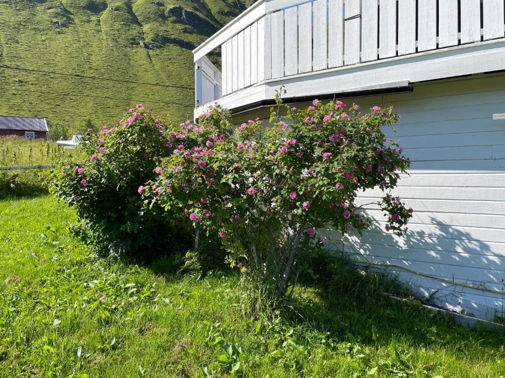 Yttersand Accomodation - عرض 2