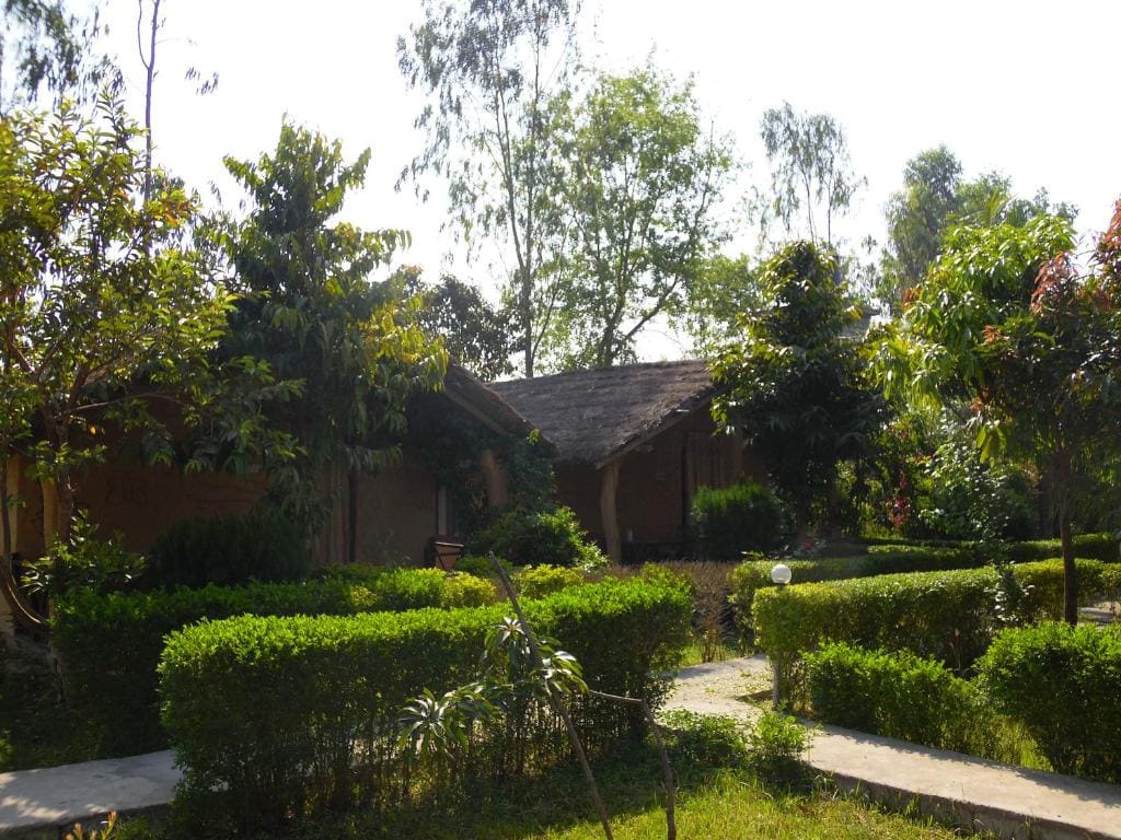 Bardia Kingfisher Resort - View 7