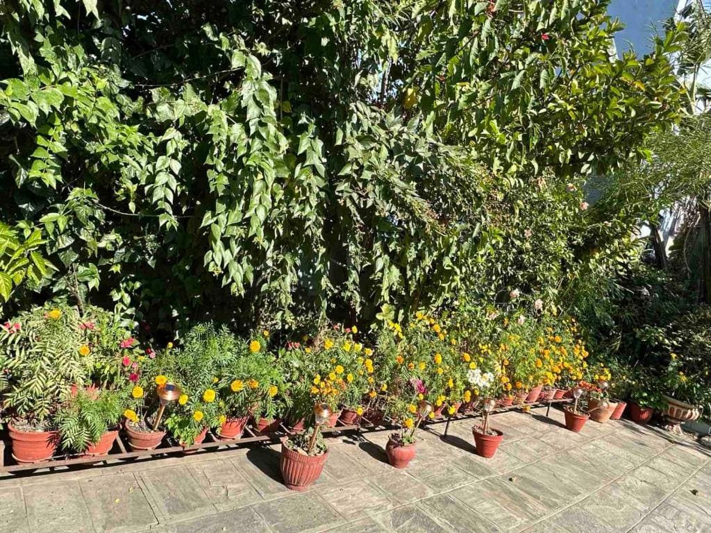 Nepal Bed and Breakfast - View 7