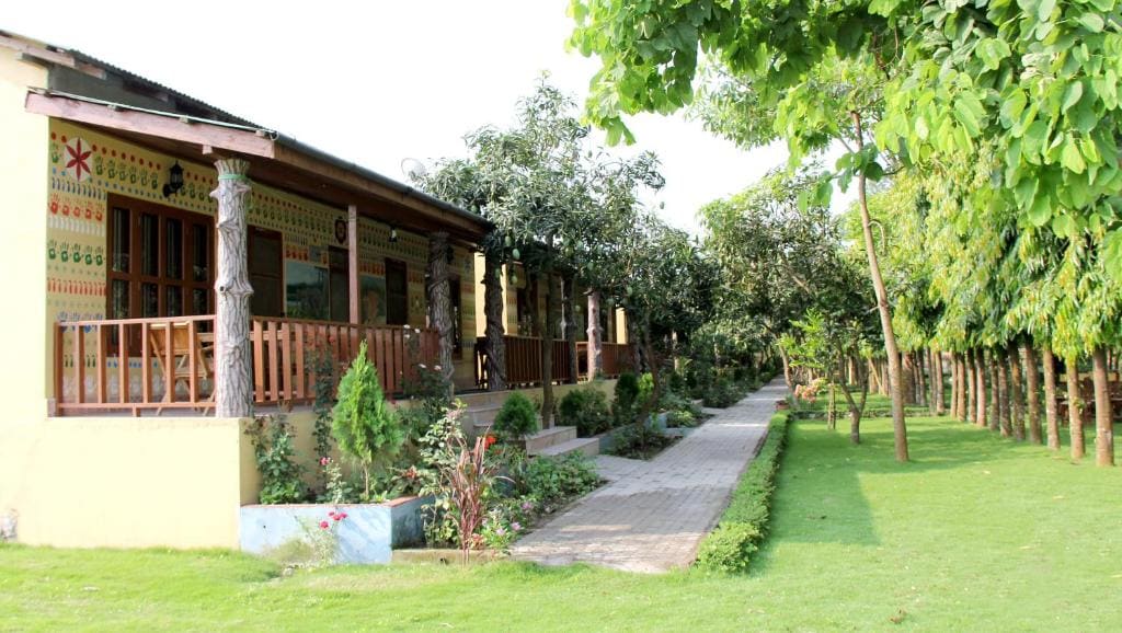 Rhino Land Jungle Lodge - Main view