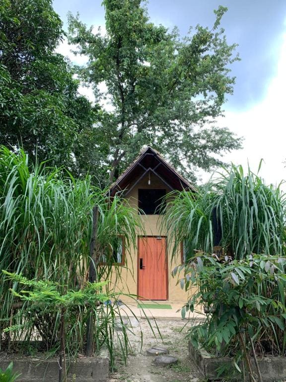 Thori jungle Resort , Chitwan National Park - View 4