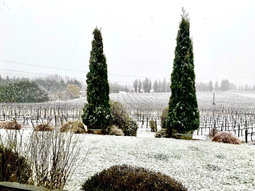 Bannock Brae Vineyard Cottage - العرض الرئيسي