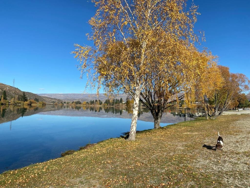 Bannock Brae Vineyard Cottage - عرض 5