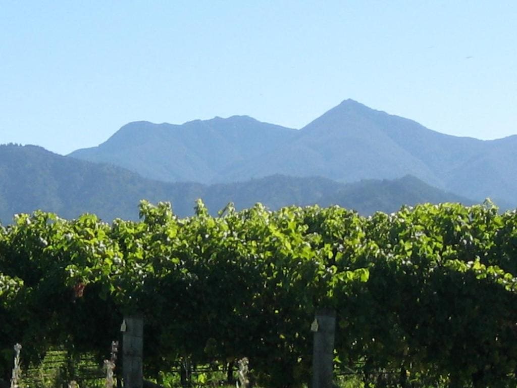 Korohi Vineyard BnB - View 2