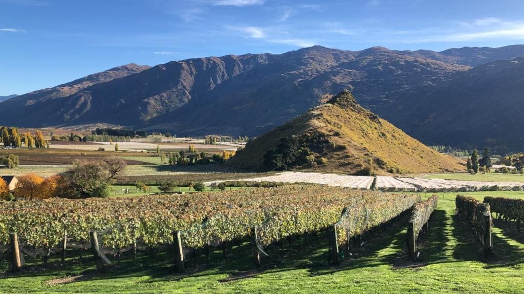 Mt Rosa Lodge Boutique Vineyard Accommodation - View 7