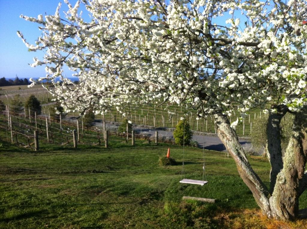 Pine Hill Lodge In Vineyard - View 7