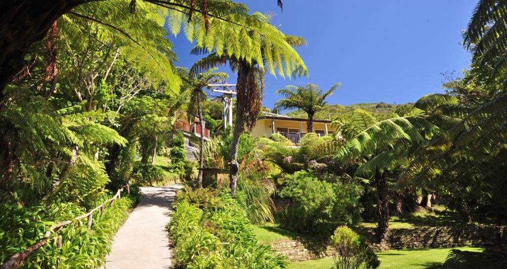 Punga Cove Resort - Main view