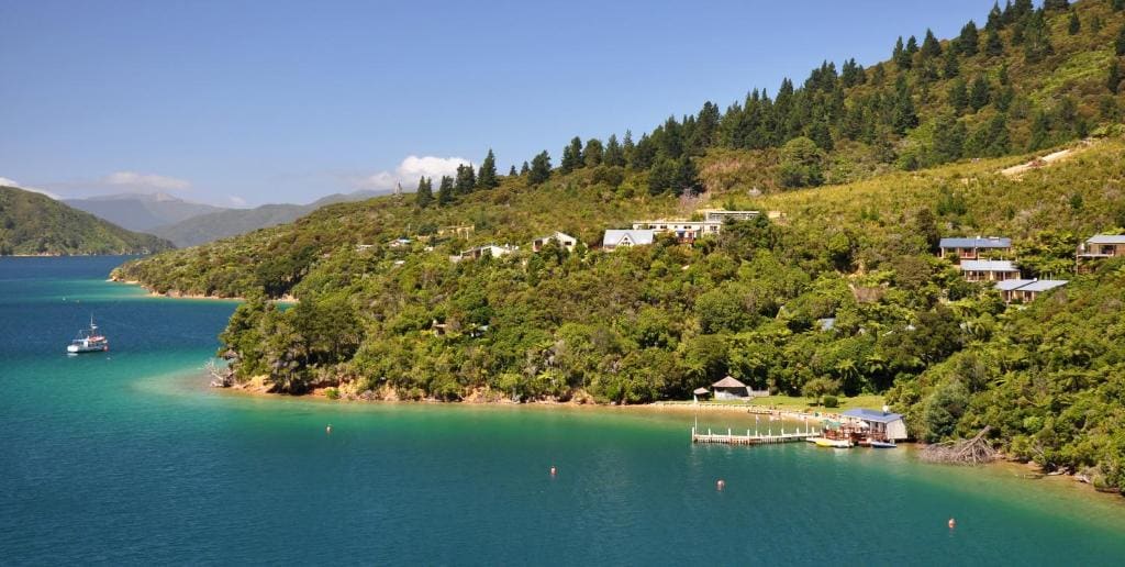Punga Cove Resort - View 5