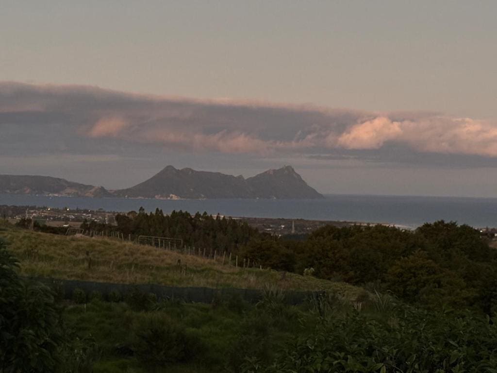 Ruakaka Retreat - View 6