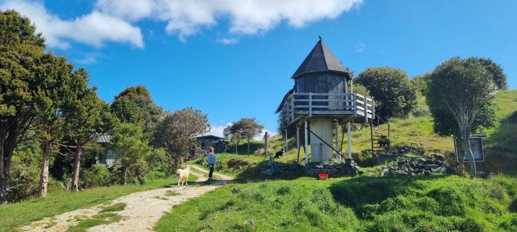 Pioneer Hut - View 3