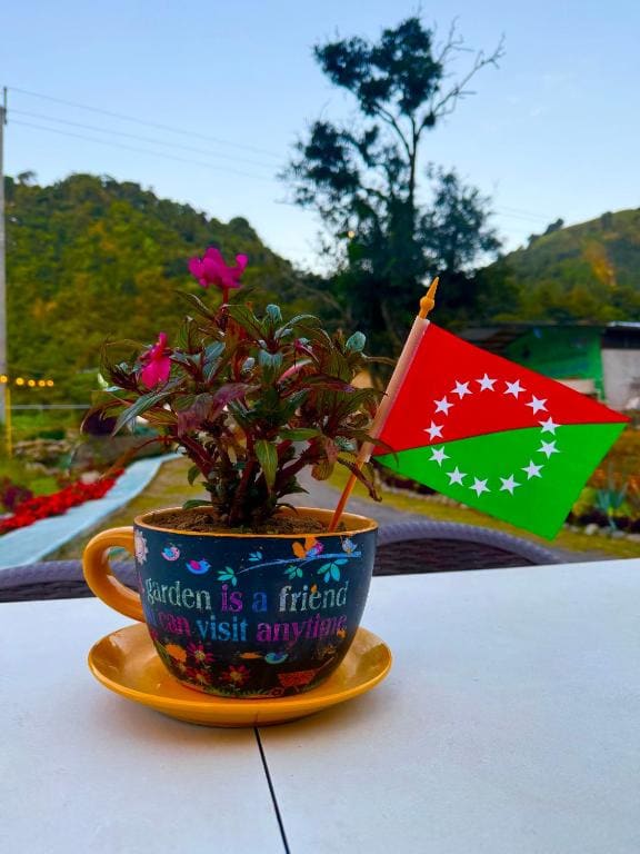 Bambito´s Café & Hostel - View 5