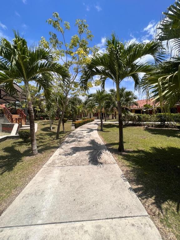 PH Las Palmas de Hato Viejo - View 5