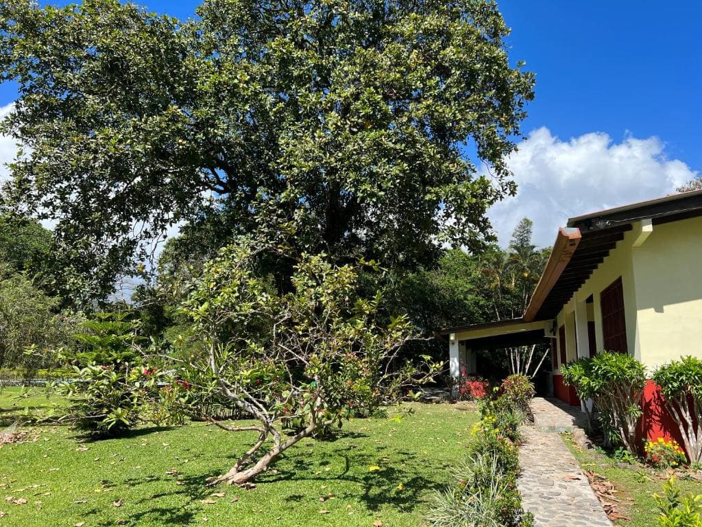 La Casa de los Patos - View 6