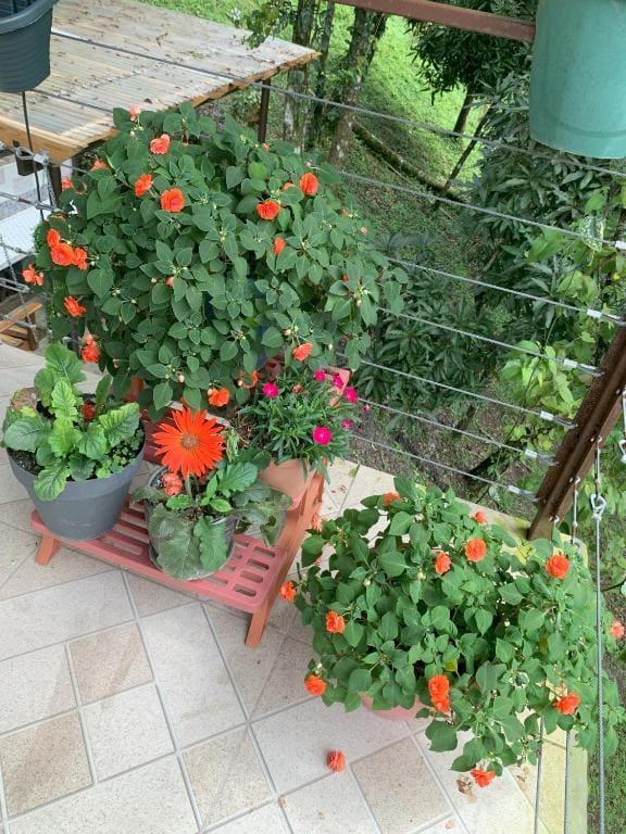 Los Laureles El Valle de Anton - View 6