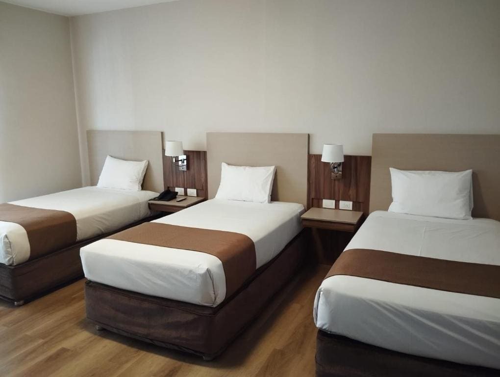 DM Hoteles Ayacucho - View 7
