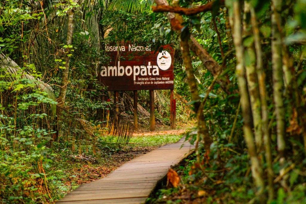 Corto Maltes Amazonia Lodge - View 4