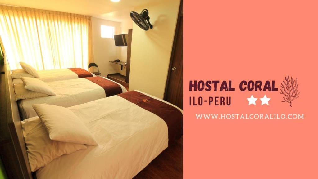 HOSTAL CORAL - View 2