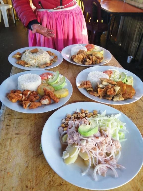 Urosfood & Titiqaqa Lodge - View 5