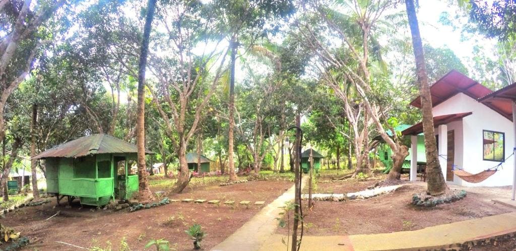 Al Hamra Jungle Resort - Main view