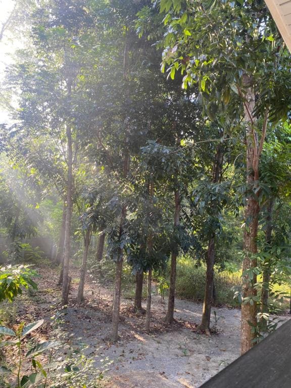 Balai Benedicere Bed & Breakfast - View 4