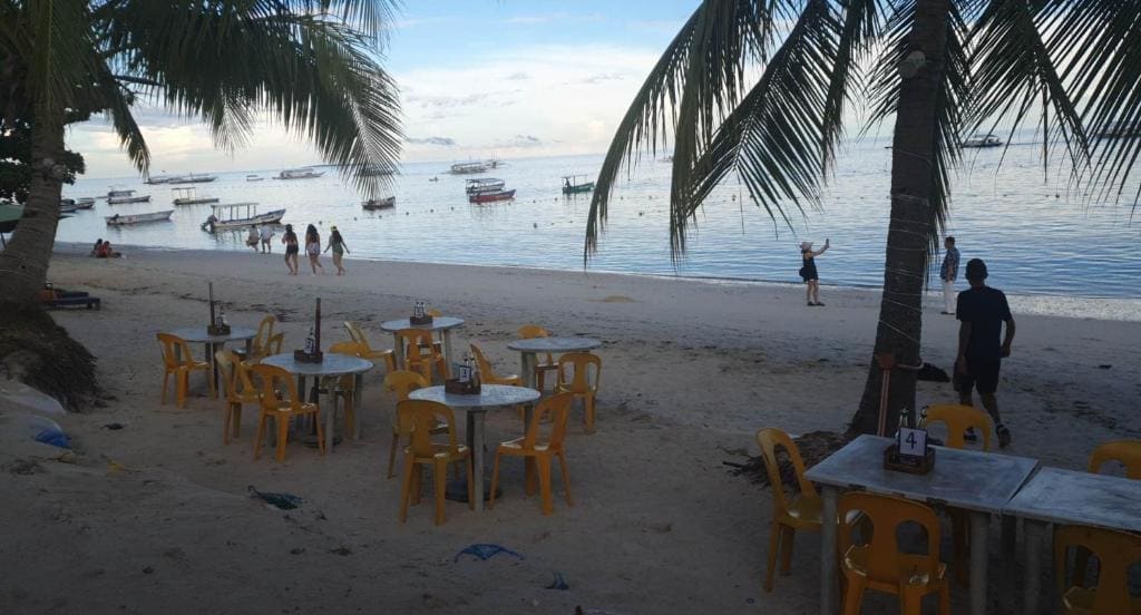 birdwatchers beachfront hotel panglao - View 4