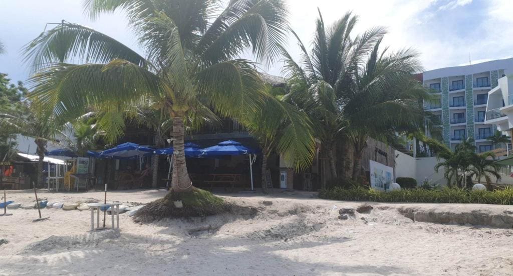birdwatchers beachfront hotel panglao - Main view