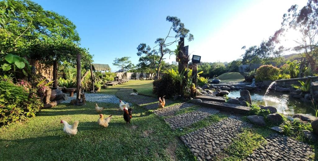 Juan's Place - View 5