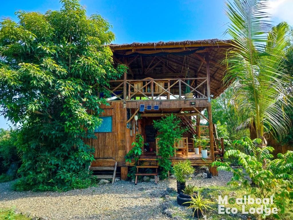 Moalboal Eco Lodge - View 4