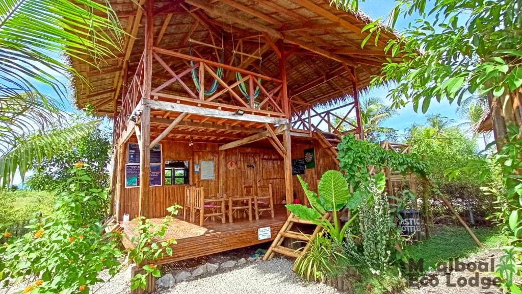 Moalboal Eco Lodge - View 5