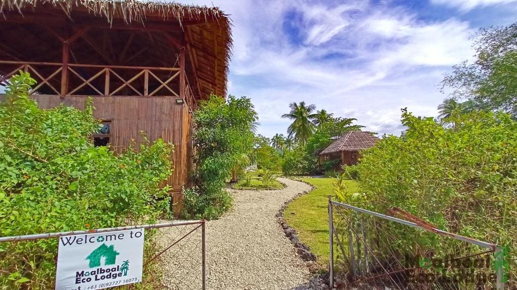 Moalboal Eco Lodge - View 2