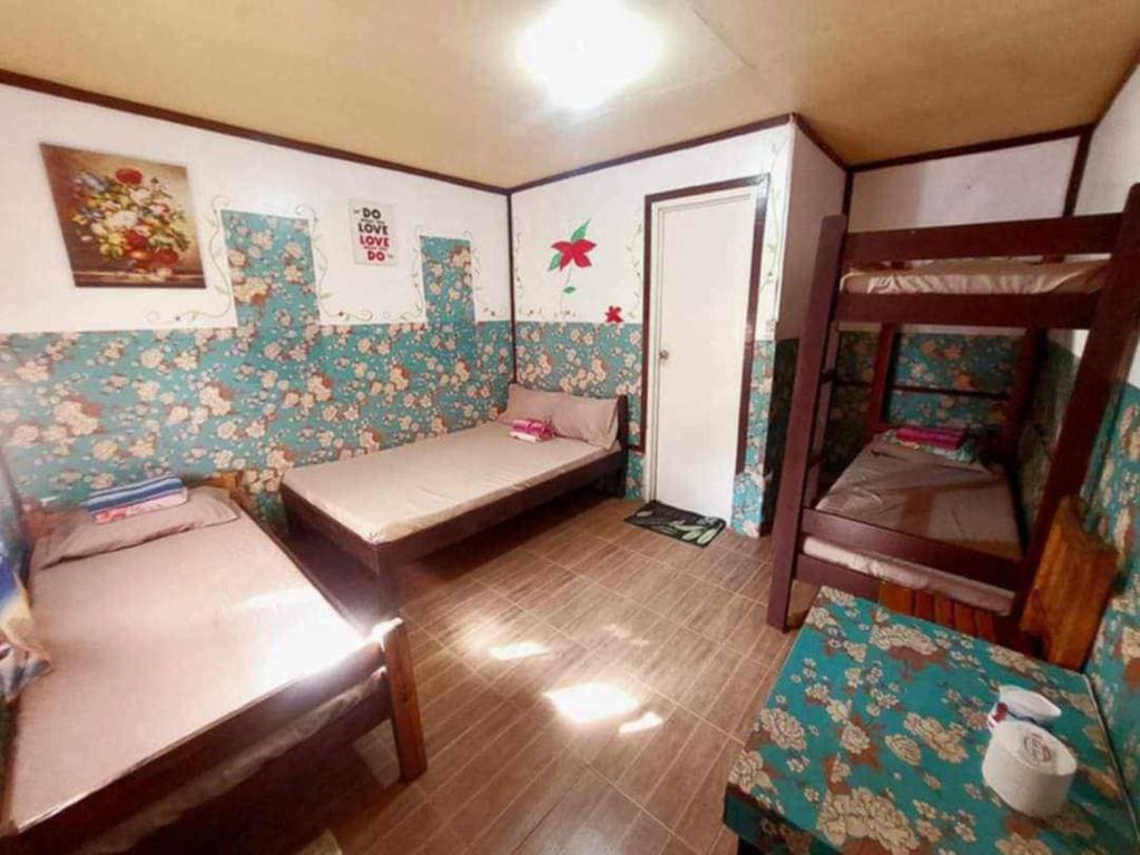 mama hostel Bed & Breakfast - Main view