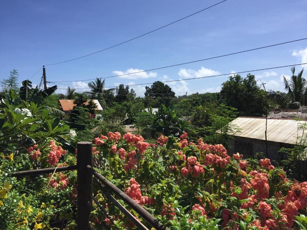 The Village House - View 2