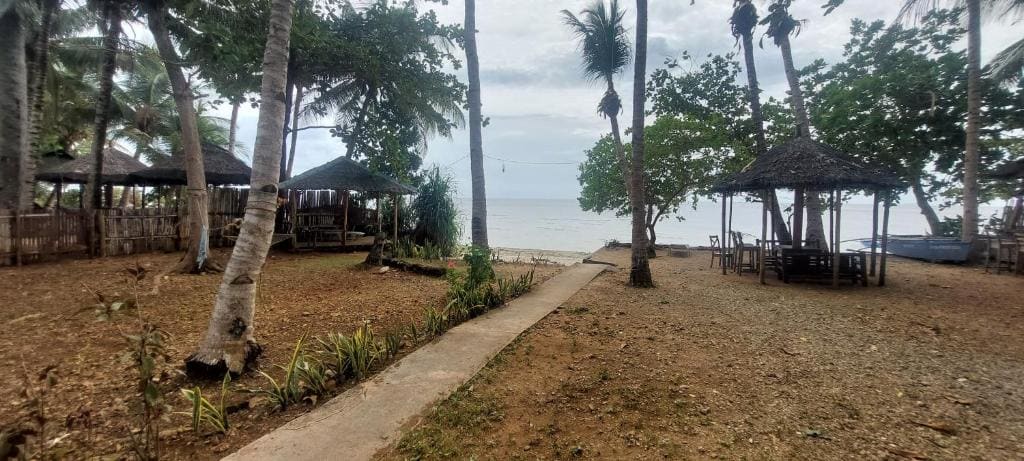 Tori's Backpacker's Paradise - View 2