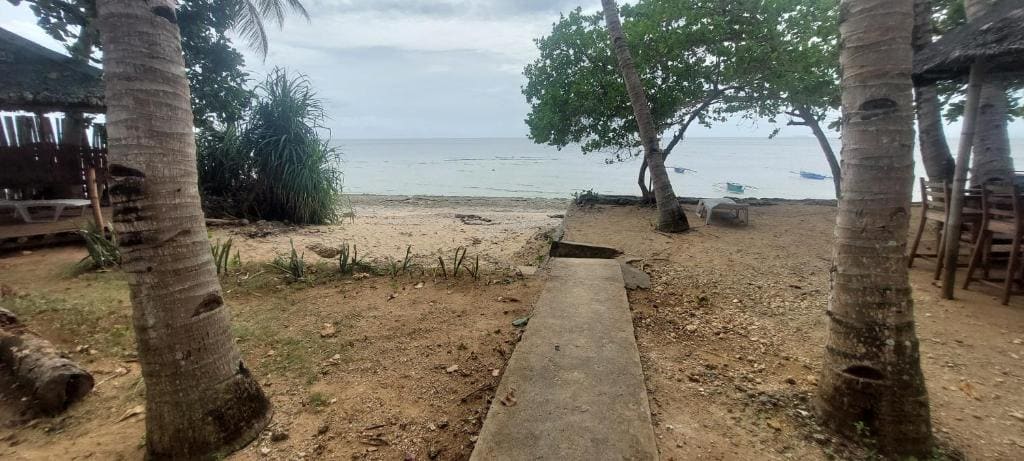Tori's Backpacker's Paradise - View 3