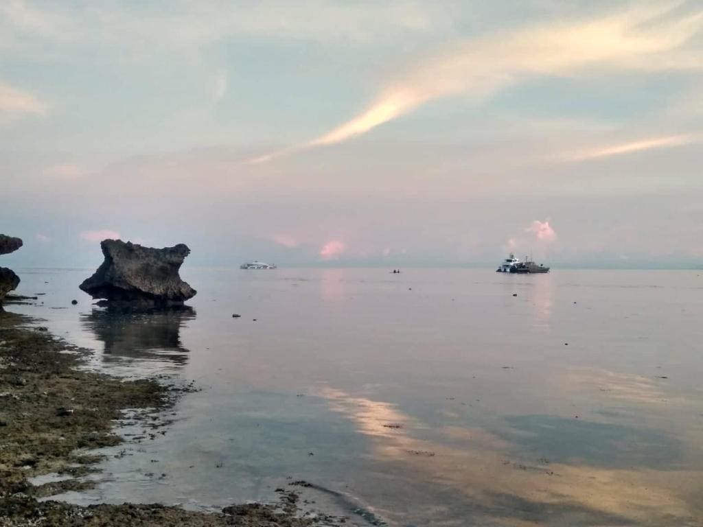 Tori's Backpacker's Paradise - View 6