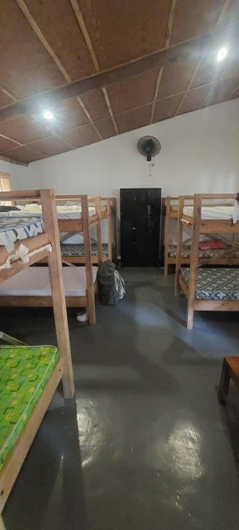 Tori's Backpacker's Paradise - Main view